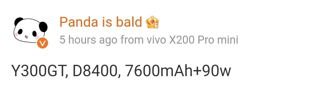 Vivo Y300GT leak